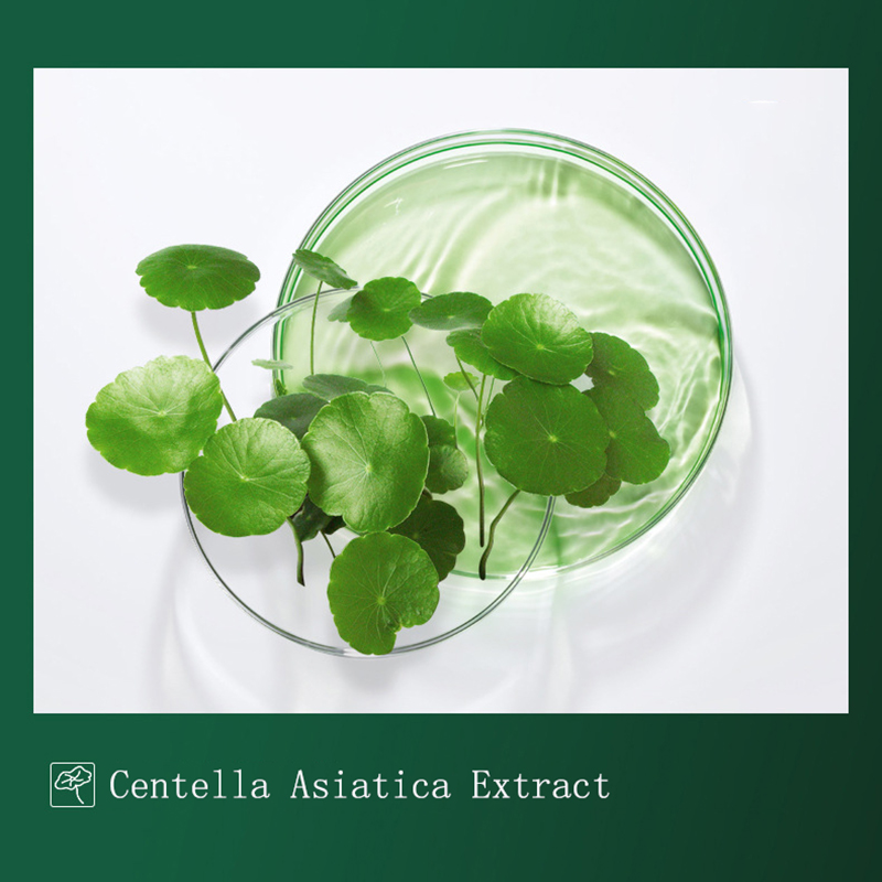 8 sztuk Centella błotna maska  – Dust Mask Construction recenzja i cena